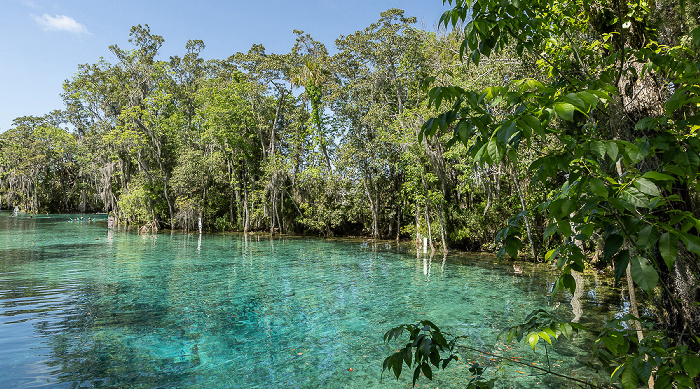 Crystal River National Wildlife Refuge: Three Sisters Springs