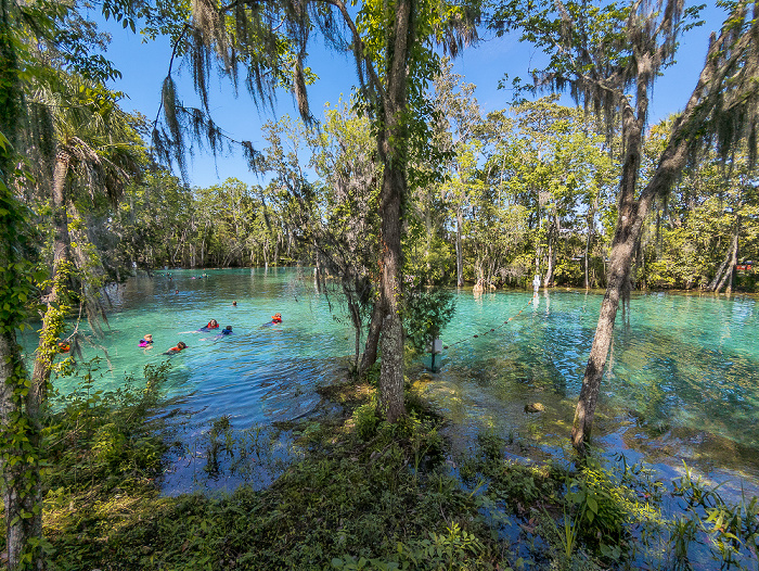 Crystal River National Wildlife Refuge: Three Sisters Springs