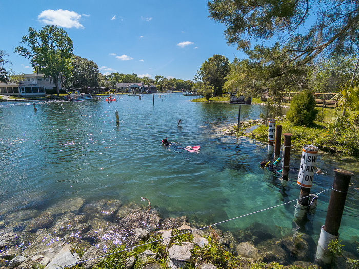 Crystal River National Wildlife Refuge: Three Sisters Springs Crystal River