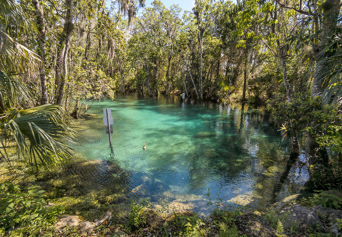 Crystal River National Wildlife Refuge: Three Sisters Springs