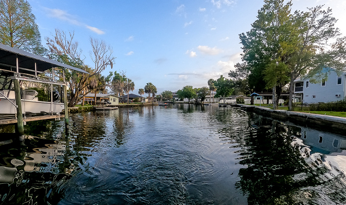 Crystal River Kings Bay