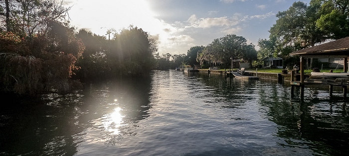 Crystal River Kings Bay