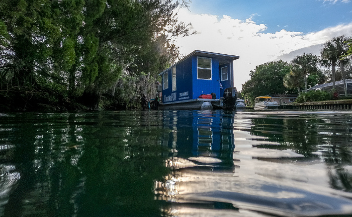 Crystal River Kings Bay