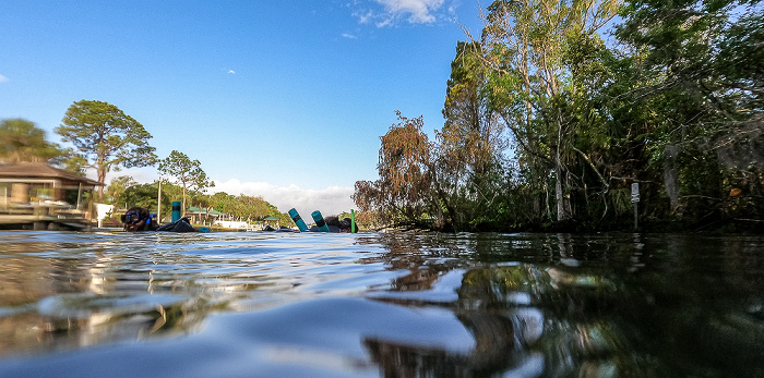 Crystal River Kings Bay