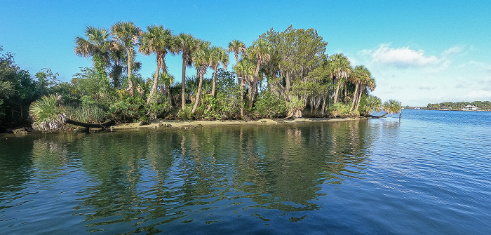 Crystal River Kings Bay