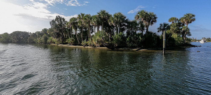 Crystal River Kings Bay