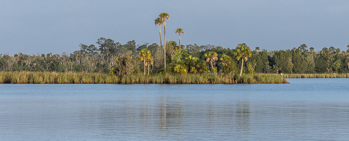 Crystal River Kings Bay