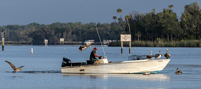 Kings Bay Crystal River