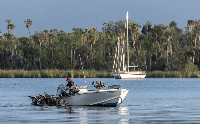 Crystal River Kings Bay