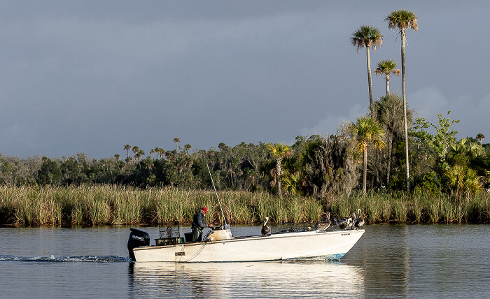 Crystal River Kings Bay