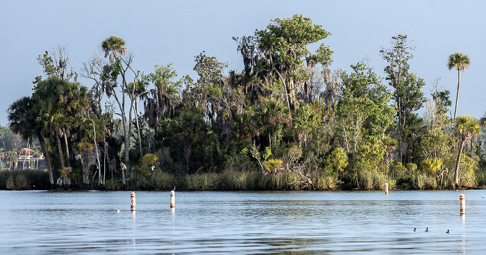 Crystal River Kings Bay