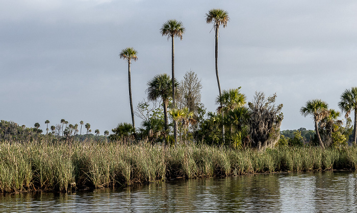 Crystal River Kings Bay