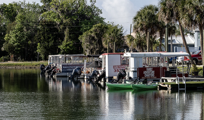 Crystal River Kings Bay