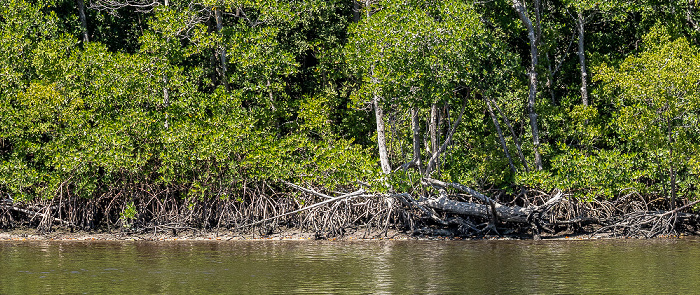 Everglades City Barron River