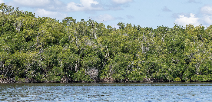 Everglades City Barron River