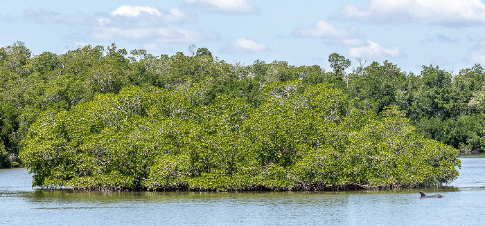 Ten Thousand Islands Everglades National Park