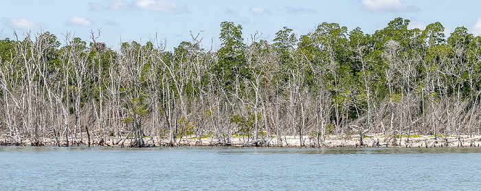 Ten Thousand Islands Everglades National Park