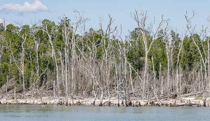 Ten Thousand Islands Everglades National Park