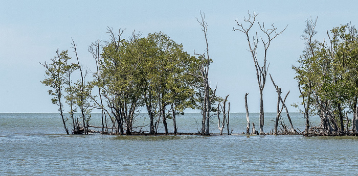 Ten Thousand Islands Everglades National Park