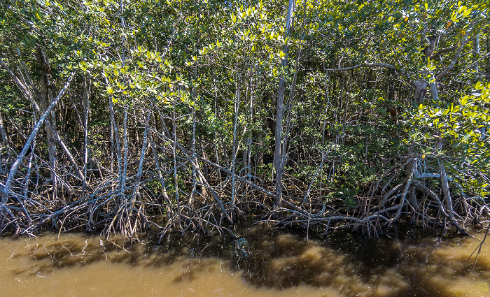 Everglades City