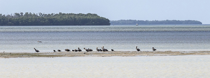 Florida Bay Everglades National Park