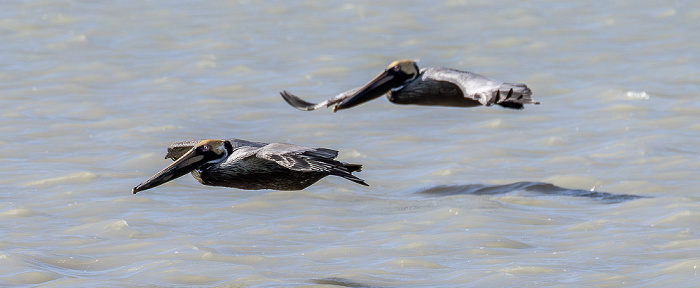 Everglades National Park