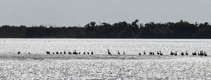 Florida Bay Everglades National Park