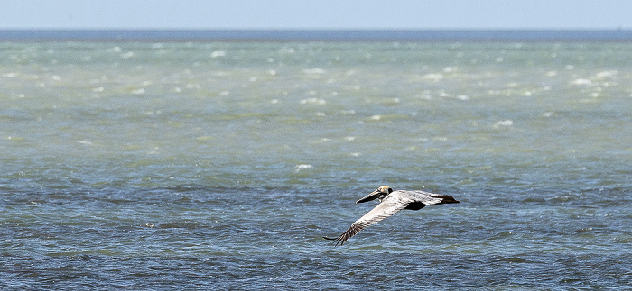 Everglades National Park