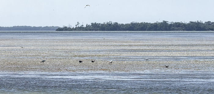 Florida Bay Everglades National Park