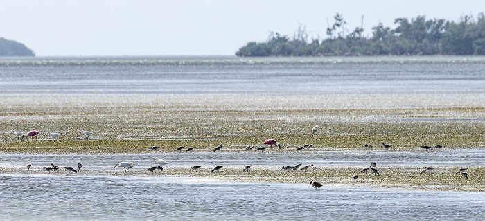 Florida Bay Everglades National Park