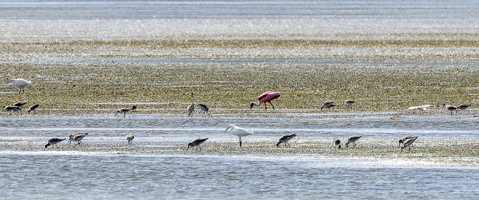 Florida Bay Everglades National Park