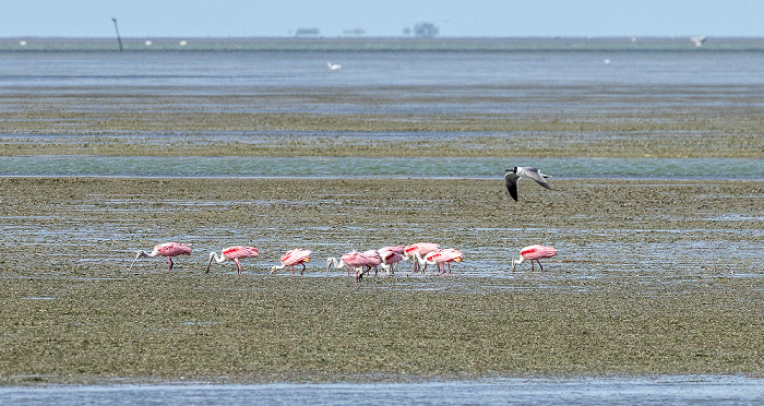 Everglades National Park