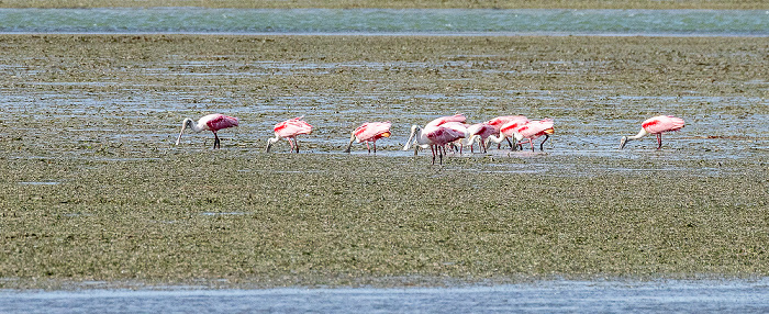 Everglades National Park