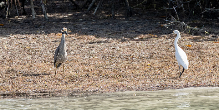 Everglades National Park