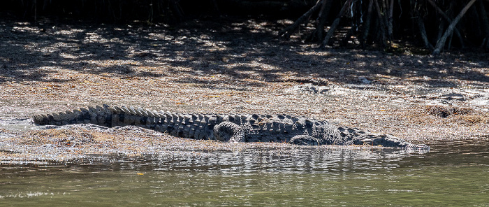 Everglades National Park