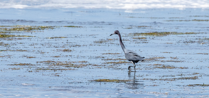 Florida Bay Everglades National Park