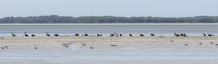 Everglades National Park