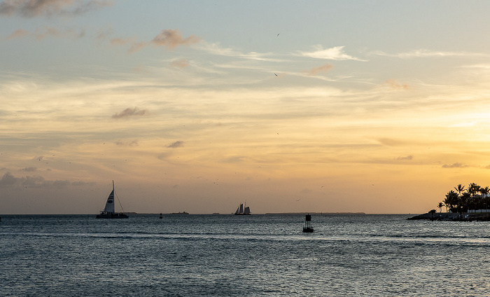 Golf von Mexiko Key West