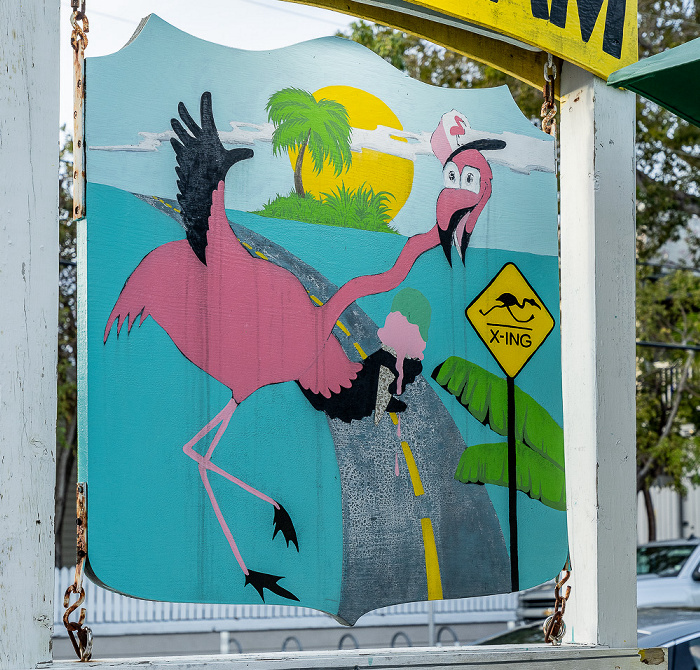 Duval Street: Flamingo Crossing Key West