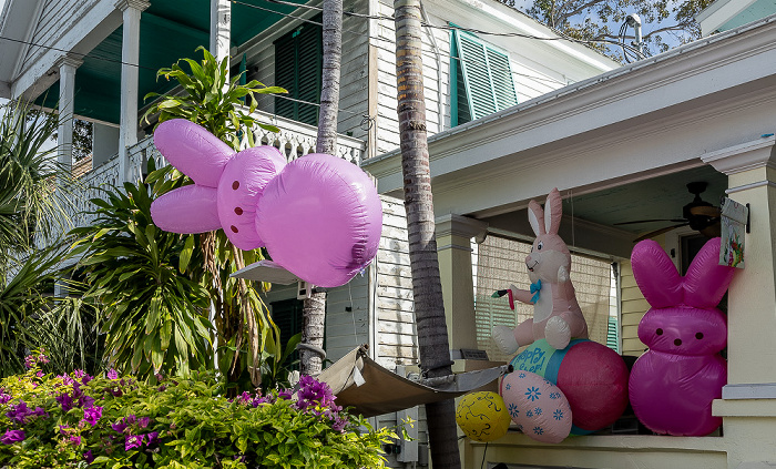 Whitehead Street Key West