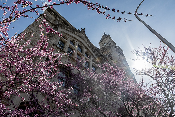 Broadway: US Customs House Nashville