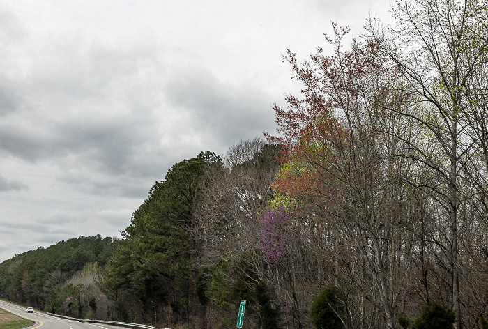 Interstate I-40 Dickson County (Tennessee)