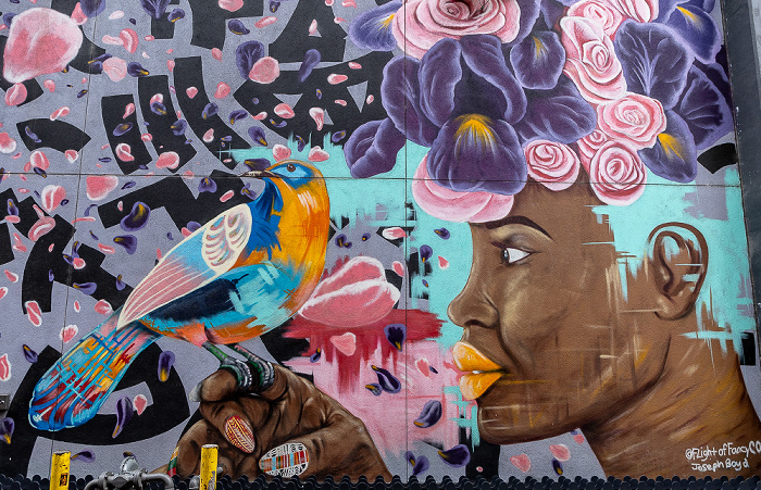 Barboro Alley: Street Art Memphis