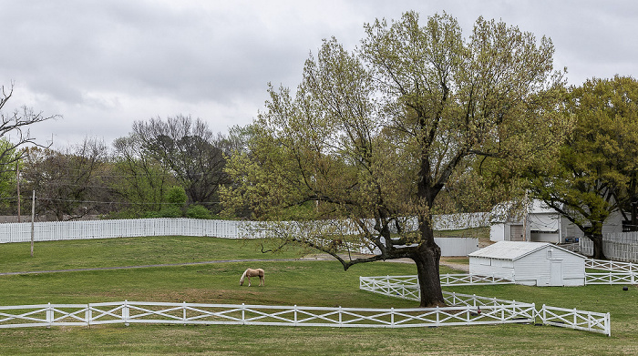 Graceland Memphis