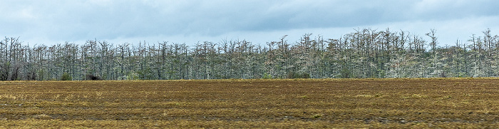 Mississippi