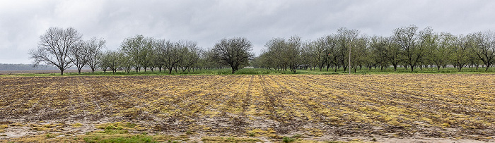 Mississippi