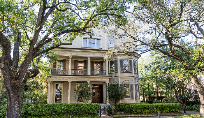 Blick aus der St Charles Streetcar: Saint Charles Avenue New Orleans