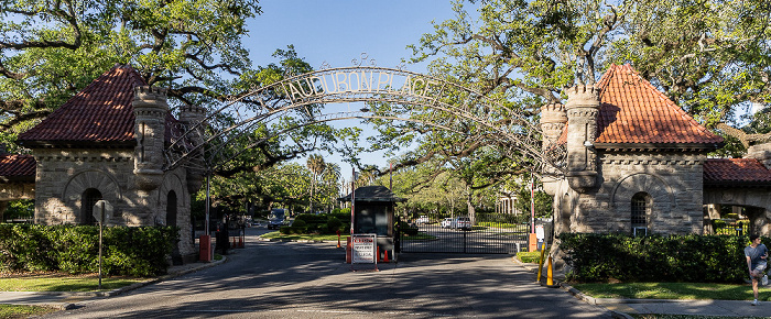 Blick aus der St Charles Streetcar: Saint Charles Avenue - Audubon Place New Orleans