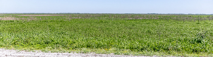 Louisiana