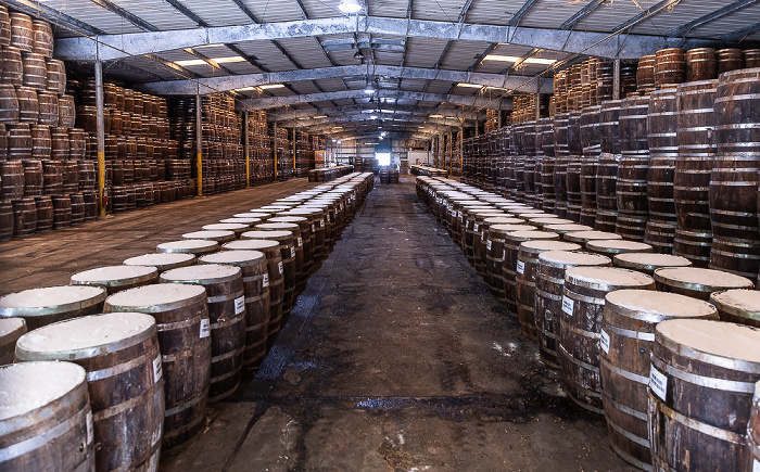 McIlhenny Company: Produktionsort der Tabascosauce Avery Island